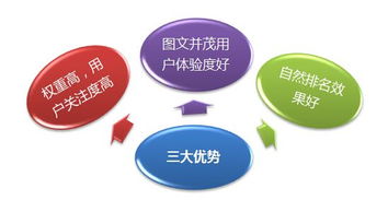 承德網(wǎng)站網(wǎng)絡推廣新篇章 專業(yè)網(wǎng)絡科技服務助力企業(yè)騰飛